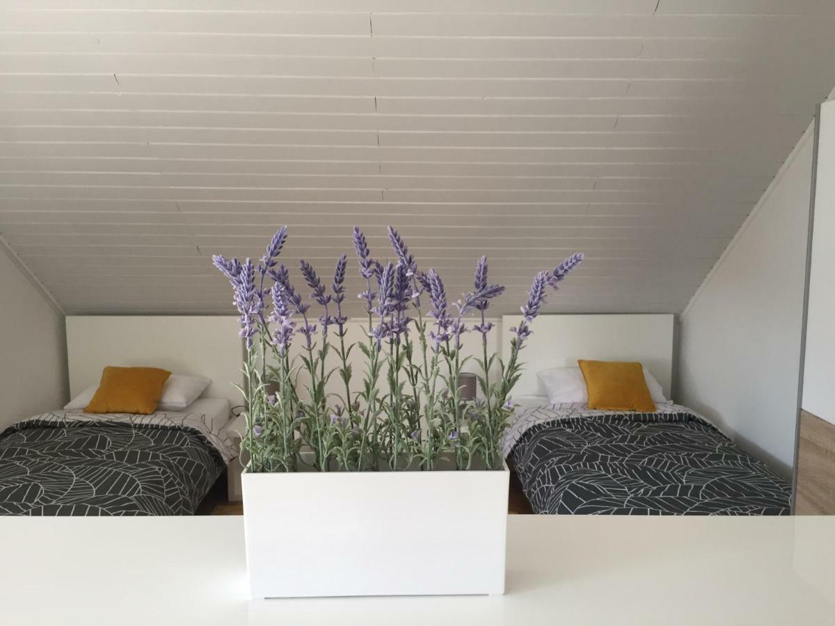 Apartment Sonas 3 With Free Private Parking *